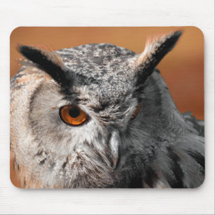 Owl Stare Mouse Pad