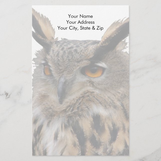 Owl Stationery (Front)