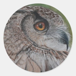 Owl stickers