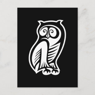 Owl Symbol White Postcard