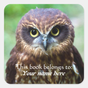Owl "This book belongs to" Sticker