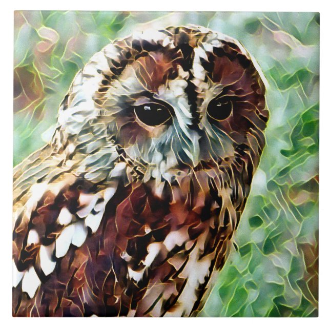 OWL TILE (Front)