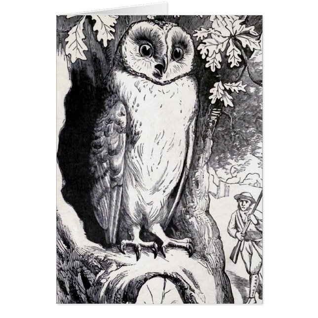 "Owl" Vintage Illustration (Front)
