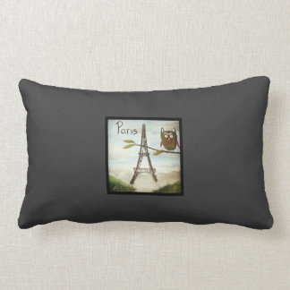 Owl Visits Paris, Part Deux- the Lumbar Support! Cushion