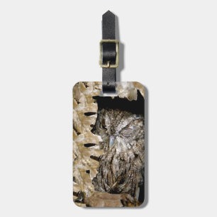 Owl Wink Luggage Tag
