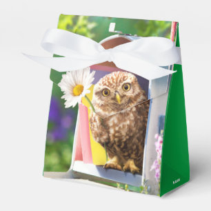 Owl With Flower In Mailbox Favour Box