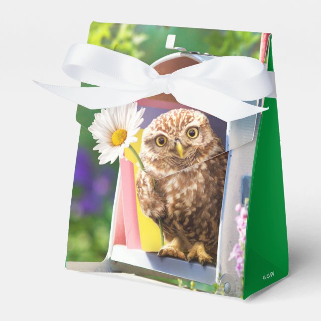 Owl With Flower In Mailbox Favour Box (Front Side)