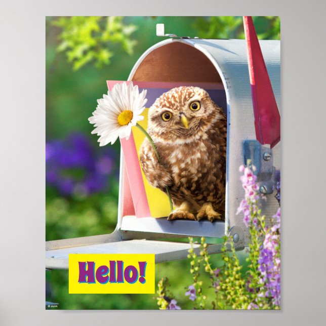 Owl With Flower In Mailbox Poster (Front)