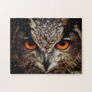 Owl with Orange Eyes Color Jigsaw Puzzle