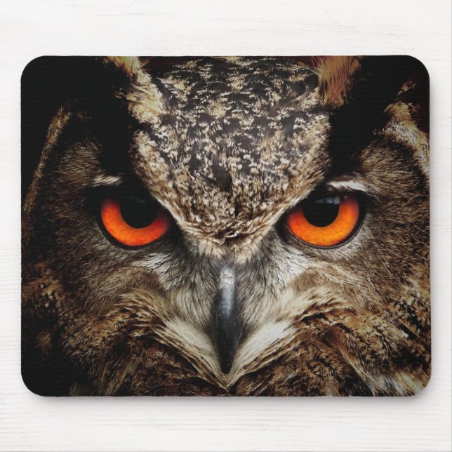 Owl with Orange Eyes Colour Mouse Pad (Front)