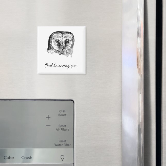 Owl with Quote Magnet (In Situ (Fridge))