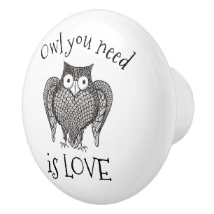 Owl you Need Ceramic Knob