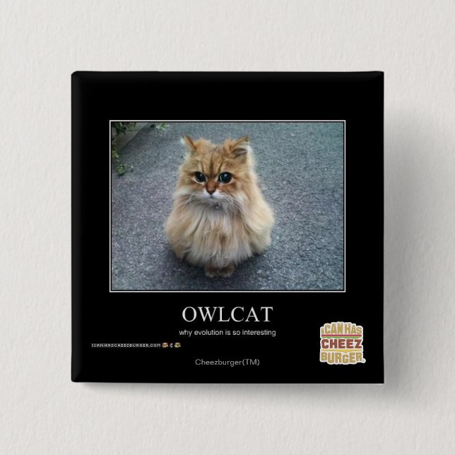 Owlcat 15 Cm Square Badge (Front)
