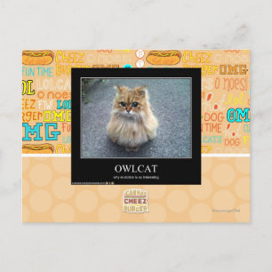 Owlcat Postcard