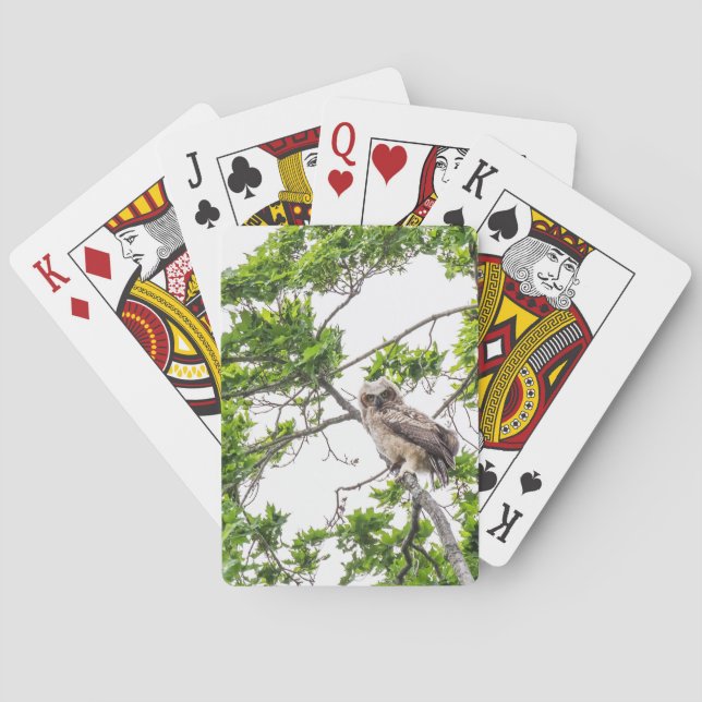 Owlet On A Maple Tree Branch  Playing Cards (Back)
