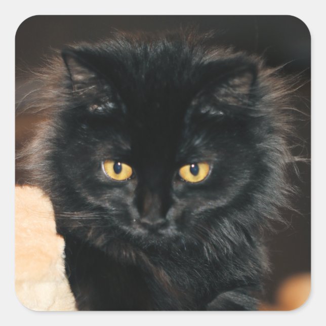 Owlette Square Sticker (Front)