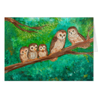 Owls