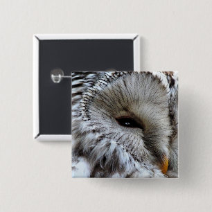 OWLS 15 CM SQUARE BADGE