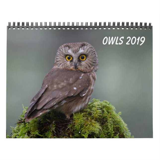 Owls 2019 calendar (Cover)