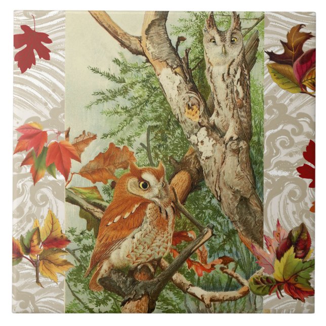 OWLS AMONG FALL LEAVES IN WOODLAND TILE (Front)