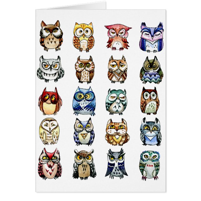 Owls and Cat (Front)