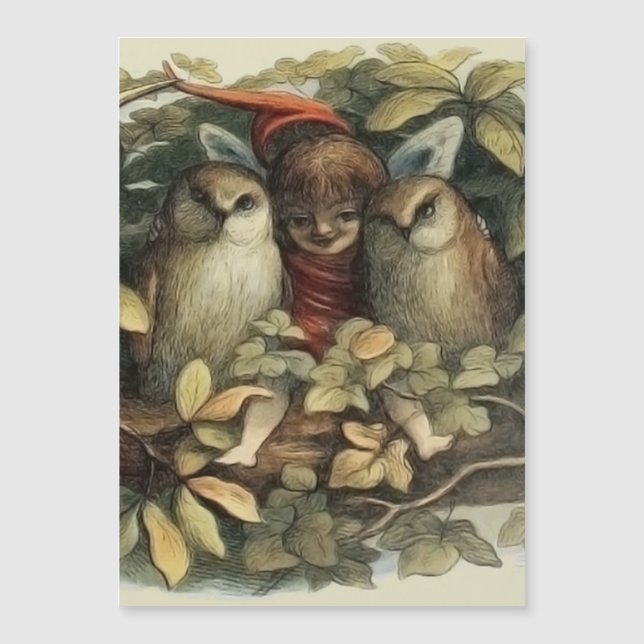 Owls and Elf Fairies Nature Illustration (Front)