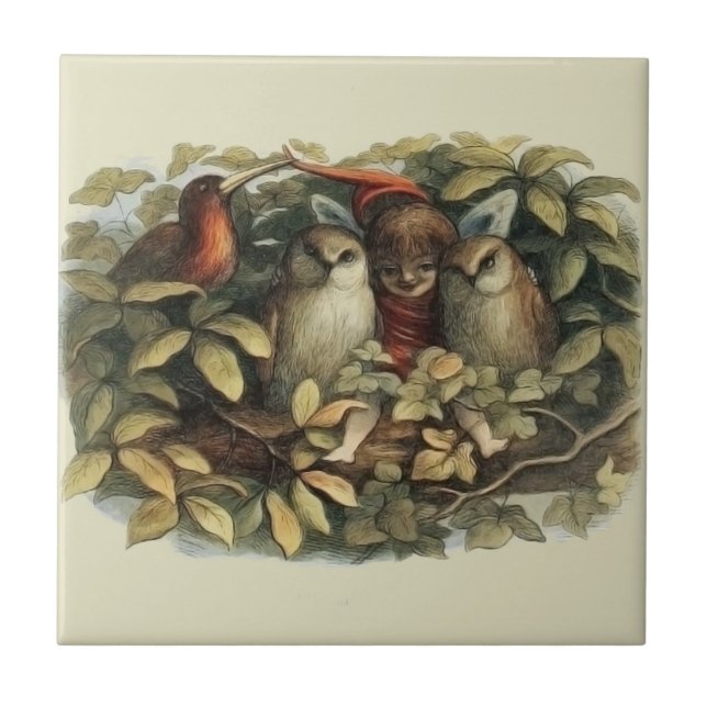 Owls and Elf Fairies Nature Illustration Tile (Front)