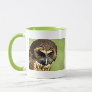 Owls Animal Birds Nature Park Tree Harmony Destiny Mug
