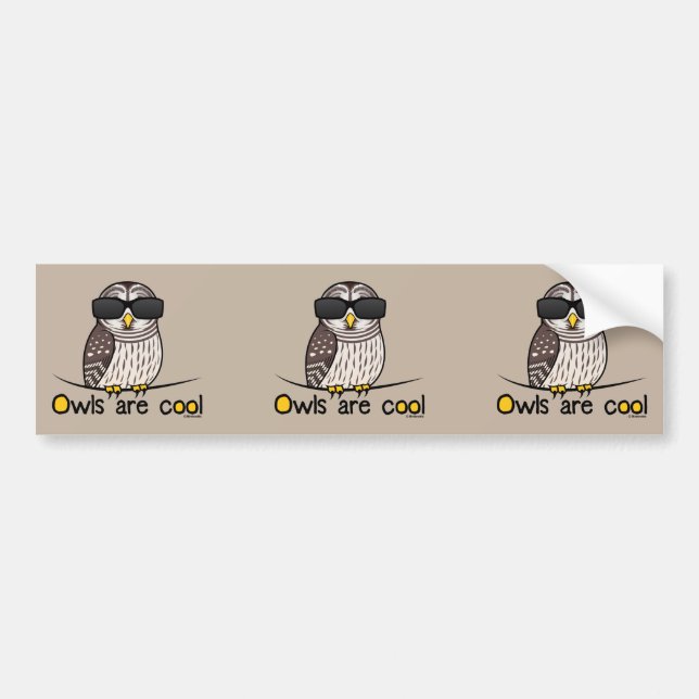 Owls are cool bumper sticker (Front)