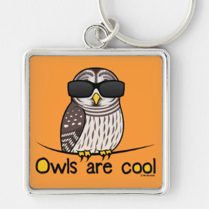 Owls are cool key ring