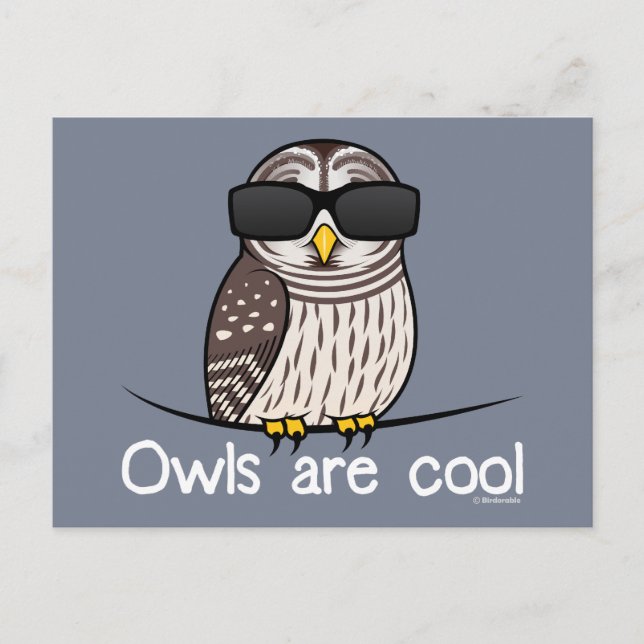 Owls are cool postcard (Front)