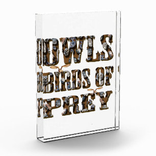 Owls Birds Of Prey, Photo Block