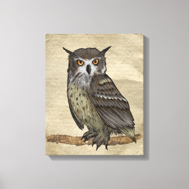 Owls Canvas Print (Front)
