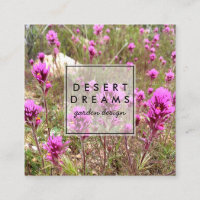 Owl's Clover Purple Desert Wildflower Photo Travel
