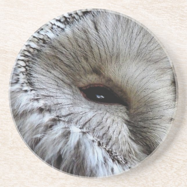 OWLS COASTER (Front)