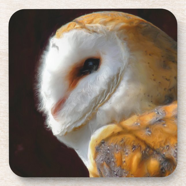 OWLS COASTER (Front)
