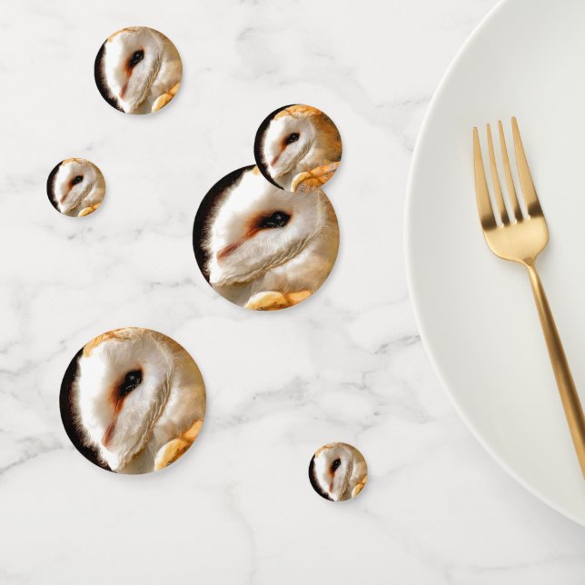 OWLS CONFETTI (Group)