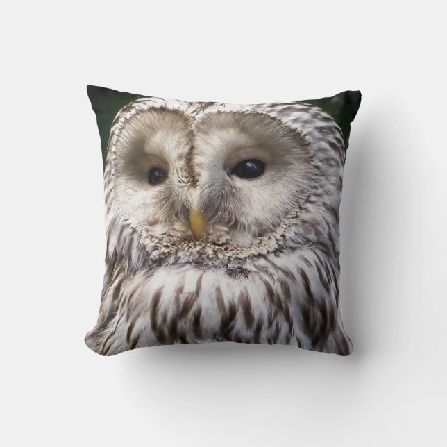 OWLS CUSHION (Front)