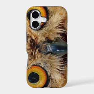 Owls Eyes