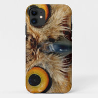 Owls Eyes
