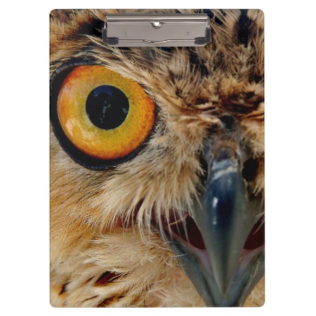 Owls Eyes Clipboard (Front)