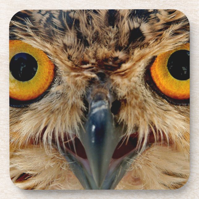 Owls Eyes Coaster (Front)