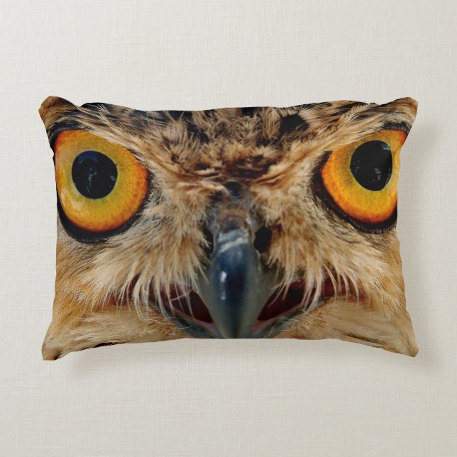 Owls Eyes Decorative Cushion (Front)