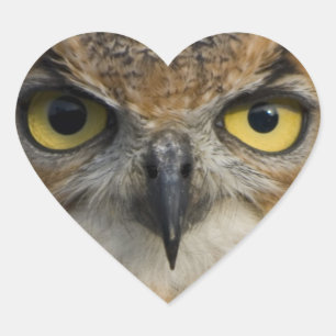 Owls Eyes Heart Sticker