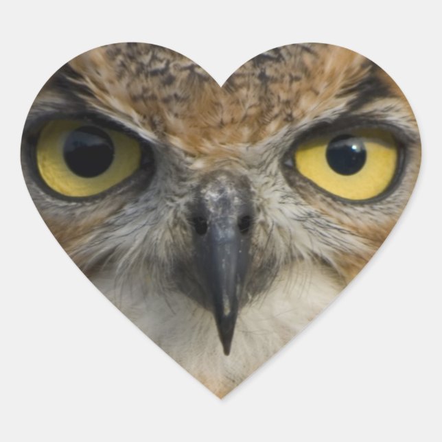 Owls Eyes Heart Sticker (Front)