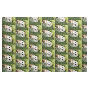 OWLS FABRIC