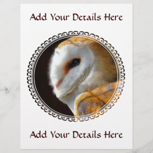 OWLS FLYER