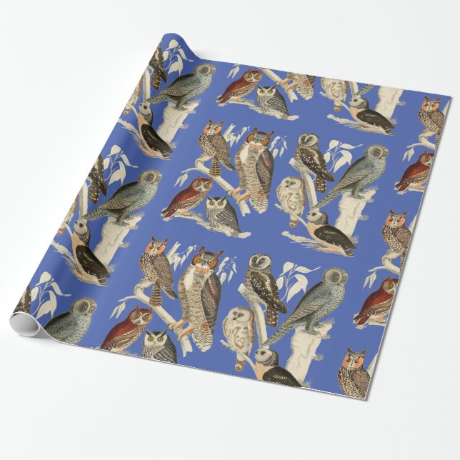 Owls Glossy Wrapping Paper (Unrolled)
