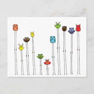 Owls In Multicolors Postcard