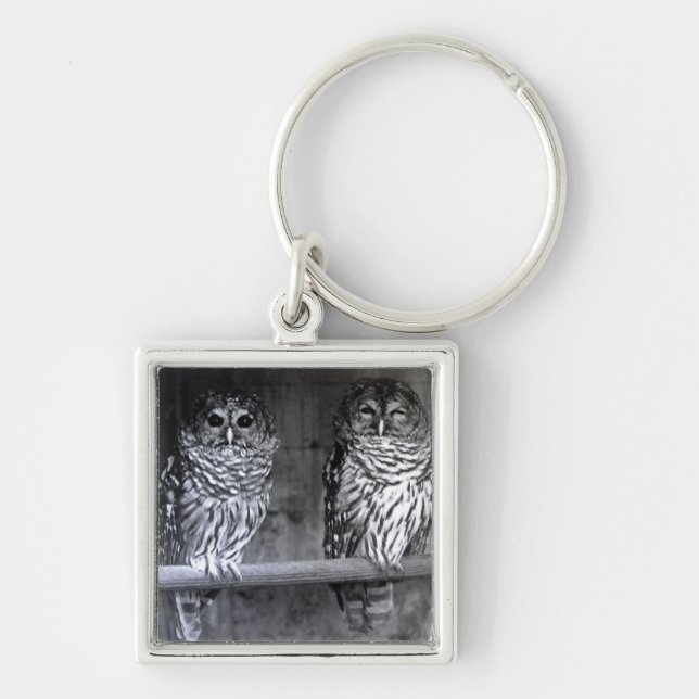 Owls Key Ring (Front)
